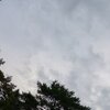 &#65288;木&#65289;下北周遊