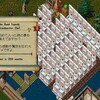 相次ぐクマゼミの発見詐称報告はどうにかならんのか