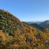 登ってみたシリーズ　金華山編