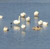 散歩でモモサダ海岸まで