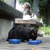 雨降る、ふ頭の公園！