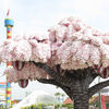 レゴランドに咲き誇る“桜の木”を見ながらお花見を満喫してきました！【２０２１年】