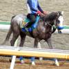 【グランソヴァール】10/7東京ダート1600Ｍでデビューへ！