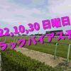 2022,10,30 日曜日 トラックバイアス結果 (東京競馬場、阪神競馬場、新潟競馬場)