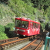 ＊「丹沢・大山登山」