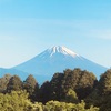 今朝の景色