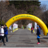 今年走るマラソン大会をどれにするか悩んでいた火曜日