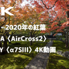 【京都動画】2020年の京都紅葉、MOZA〈AirCross2〉とSONY〈α7SⅢ〉の4K動画で撮ってみた。4Kwith〈ILCE 7SM3〉