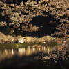 弘前公園さくらまつり  　西堀　夜桜　４月２３日