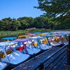 ブログを開始（再開）して1年経った