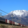 運用消滅間近のPF関西運用を伊吹山バックで撮る　関西日帰り弾丸遠征①