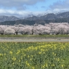 春のひとり旅　春の四重奏　富山県朝日町