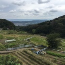 とりあえず、早良親王。
