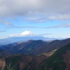 ヨモギ尾根から丹沢大山登山！三ノ塔～ヨモギ平～札掛(前編)