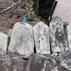 瀧川神社と山田の集落