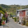 波方運動公園 ( 花木園 ) 2014-04-17