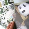 使用済みカレンダーから　パンダの封筒を　作ったので、