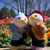 あしかがフラワーパークでぬい撮りしました