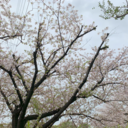 らくうま子＆圧力なべ夫のブログ