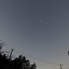 今朝の月