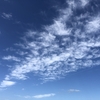 夏がすぎて秋が来た