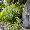  #051　山宮・下蒲沢の道祖神１
