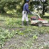 栗の収穫前に栗畑の草刈り