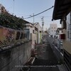 沼田逍遥（４）：路地と飲食店だらけの街。