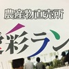 岸和田にある「道の駅　愛彩ランド」でテンション上がるの巻