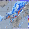 今日は梅雨らしい