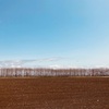 【ご感想】勇気づけられ、 励まされ、幸せを諦めたくない！と本気で思いました。