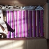 ブックオフの買い取り結果があまりにで驚く