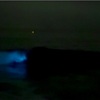 知多半島深夜徘徊