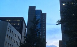記事を見る