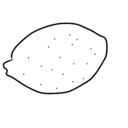 ぴかりんこな日々