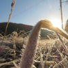 2021年1月19日　福智山登山！！