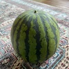 妹んちの畑で採れた🍉すいか