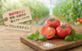 【ブリックスナイン】糖度9度以上！群馬・太田市の極上フルーツトマト購入方法は？