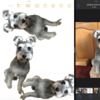  iPadOS 16で写真の部分切り抜き機能を使う  