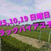 2025,10,19 日曜日 トラックバイアス予想 (東京競馬場　京都競馬場　新潟競馬場)