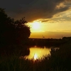 ごかみずべ公園の夕景(茨城県五霞町)