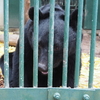 2025年12月3日(水)　[北摂]高代寺山へ、クマのとよくん、御神馬のいづめ君に会いに行く！