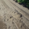 明らかに、猫の仕業です。