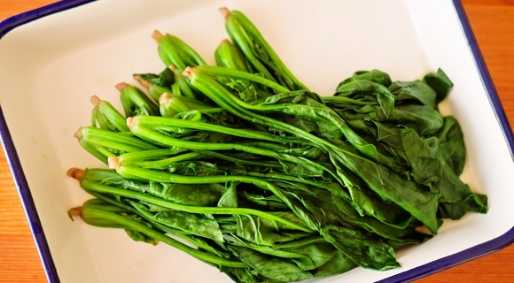 「家の食材使い切れない問題」の解決法を『賢い冷蔵庫』著者に聞いてきた