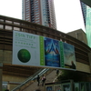 第25回　東京国際映画祭　グリーンカーペット