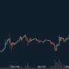 【投資】仮想通貨を17万円購入して2ヶ月経った結果