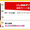 セディナゴールドで 11,600ポイントゲット！ 海外旅行時の両替はセディナカードが最高！