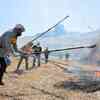 JAL社員が野焼きに挑戦、草原保全を学ぶ　熊本県阿蘇市