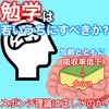 『😤若いうちに勉強しなさい💢』は正しいのか？