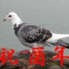 2017年に書いた記事紹介